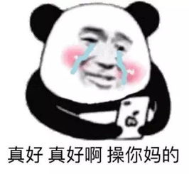 熊猫头表情包不说晚安了,我要和你一起睡觉