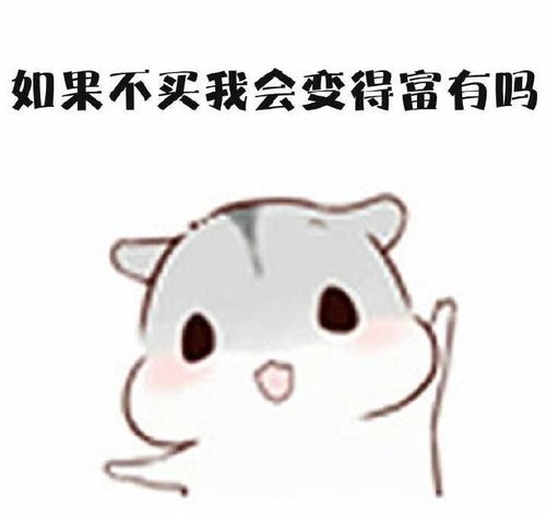 买东西前的思考,斗图表情包搞笑图片