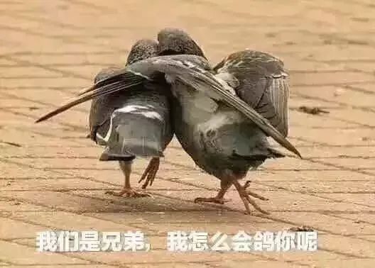 全民反诈丨我拿你当兄弟,你却惦记我的钱