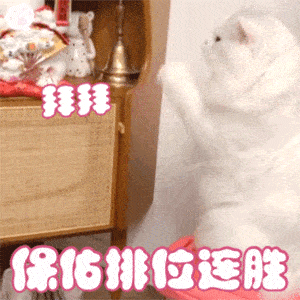 抖音热门搞笑表情包