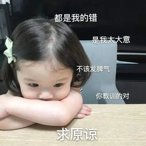 表情包你们那些用沙雕表情包的小仙女们,难道就不是沙雕网友了