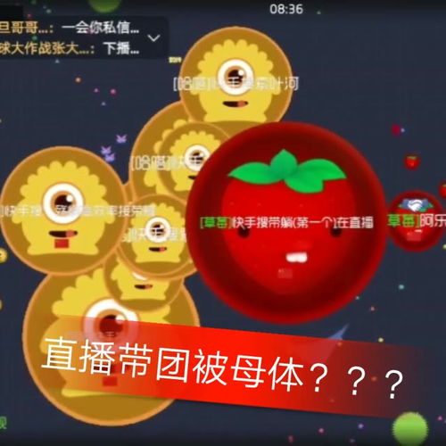 带躺球球大作战冲刺二十万快手直播