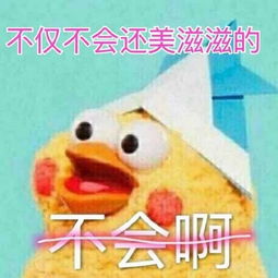 鹦鹉表情包