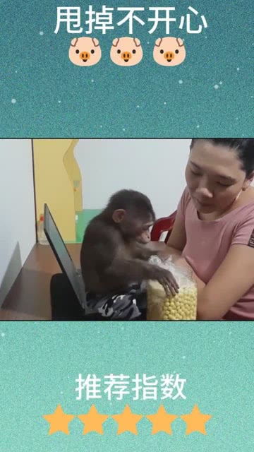 妈妈故意把口给封起来,小猴子一脸我想吃的表情,样子简直太搞笑啦