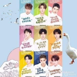 ninepercent明星资料大全ninepercent动态ninepercent电视剧电影爱奇艺泡泡