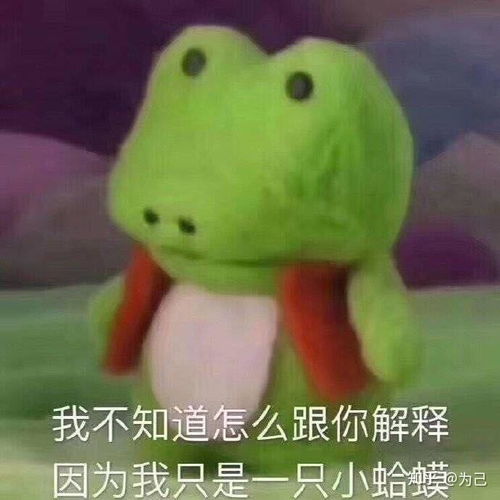 中职生和普高生真的差距很大吗