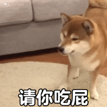 搞笑表情包动图