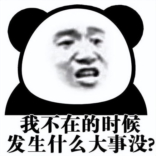 和小猫击掌表情包