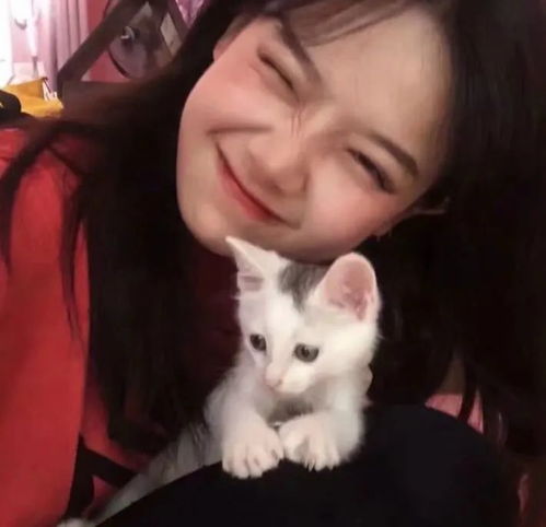 一组猫系女生头像,请签收