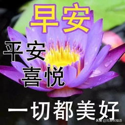 最新版早上好漂亮祝福表情图片,分享我最真诚的祝福