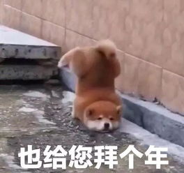 出太阳了春节期间一头一尾将遇冷,贵州天气大反转