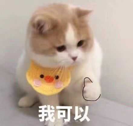 那些有趣的表情包任世界纷纷扰扰,我自默默学习读书做题