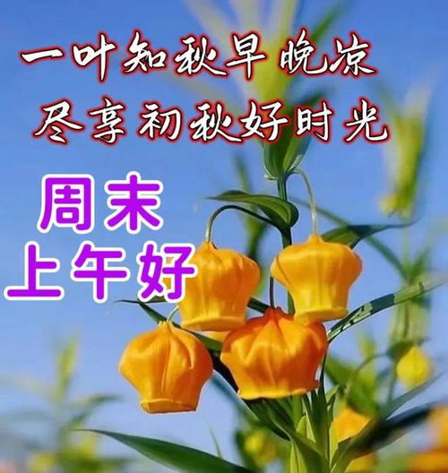 8月20日星期天早上好问候祝福动态表情图片大全周日最新早安问候语动态图片