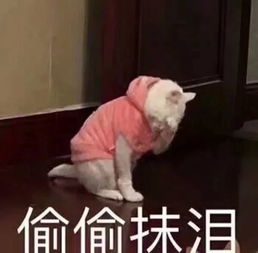都听我的这届年轻人的压力实在太大