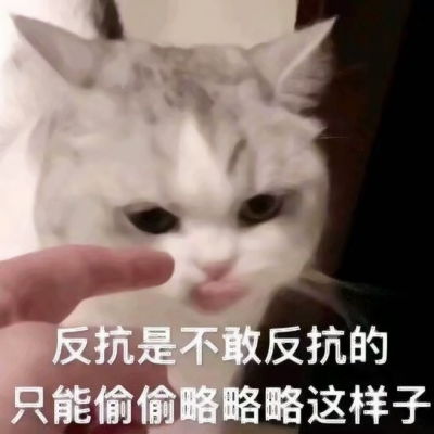 沙雕表情包头像可爱