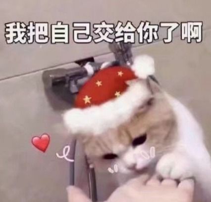 幽默笑话朋友是新郎,结婚当天要抢亲的