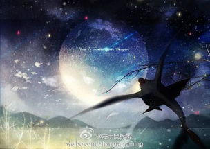 适合三十多岁男的用的头像不要人物急