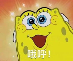 今日搞笑表情包精选从此我们恩断义绝,我不再是你爹