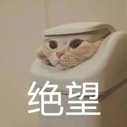 315交警来打假外地车在临沂被套牌,罚