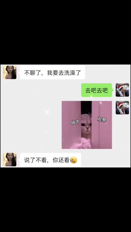 每帧都是表情包撩妹搞笑沙雕操作表情包小可爱已上线聊天记录