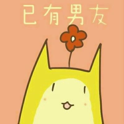 toro猫头像图片大全