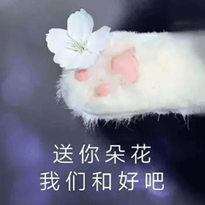 热门表情包第17期