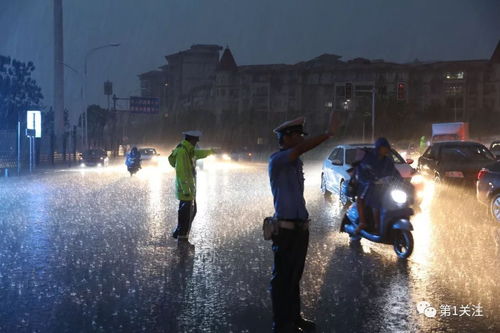 薏米拍,有趣有味大家拍暴雨下的坚守