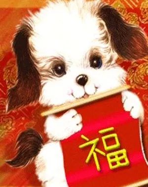 2018新年搞笑表情包小狗