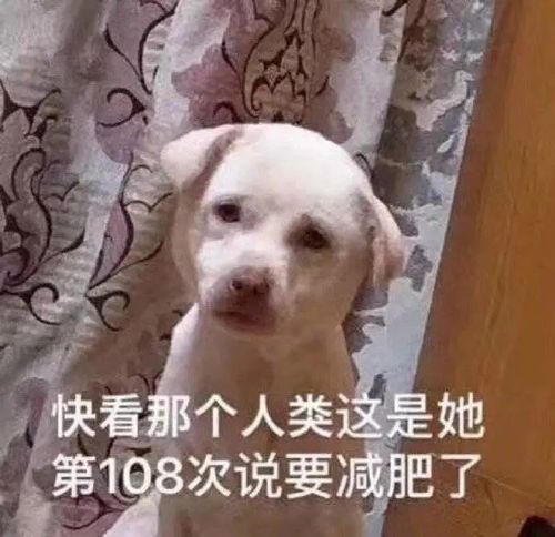 有哪些让人看完秒收藏的沙雕朋友圈文案