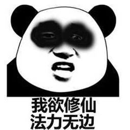 修仙是什么梗