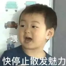 微信qq斗图表情包搞笑表情包