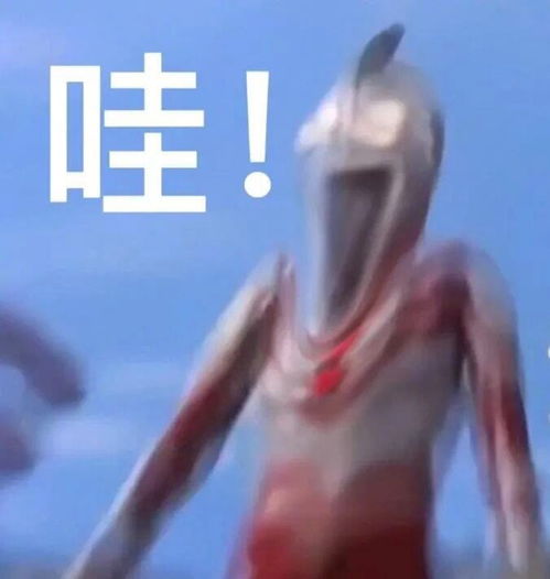 沙雕搞怪表情神一般的操作