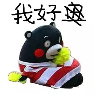 我是一个不知道丑字怎么写的人