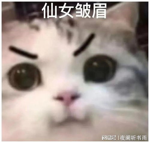 聊天必备表情包332可爱搞怪沙雕表情包