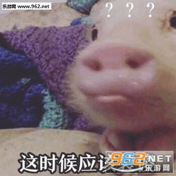嘿嘿表情包搞笑猪猪