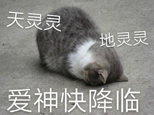 萌宠表情包我都闭眼了,你怎么还不亲我鸭
