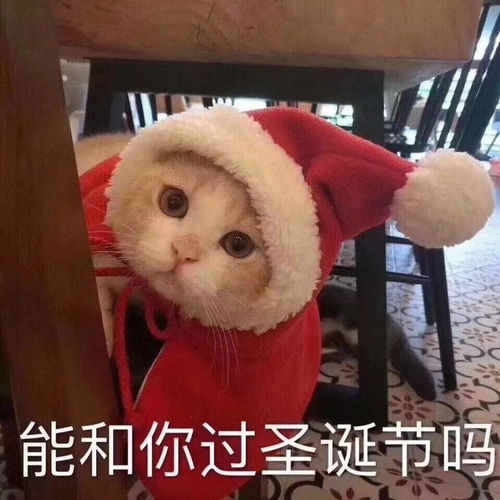 小孩子才过圣诞成年人......