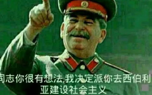 二战搞笑表情包苏联