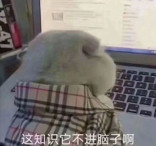 超搞笑的表情包钟超