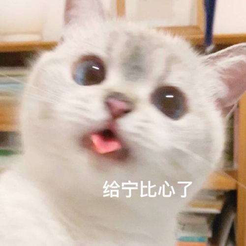 求灵异恐怖文