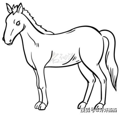 动漫中的骏马怎么绘画
