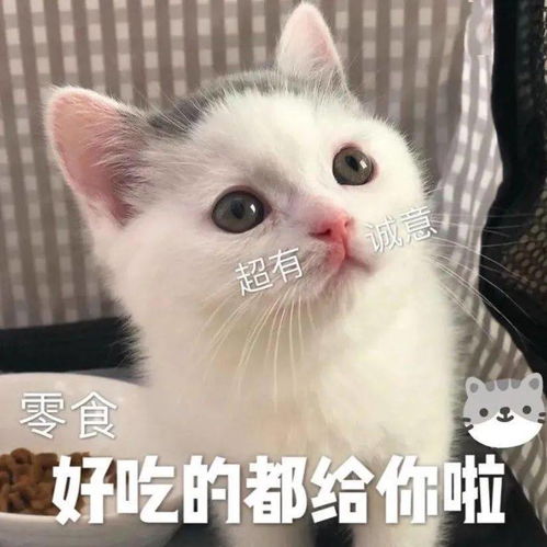 12款拼多多减脂零食,怎么吃都不胖尤其是第二个