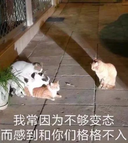 真天生一对小三被姘头捅60多刀仍原谅他,想白头偕老...