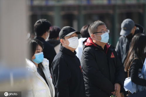 组图赵英俊追悼会举办黄渤王宝强陈思诚薛之谦等现身