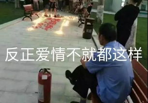 表情包丨我说以后不再熬夜,狗都觉得好笑
