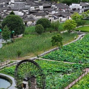 全民参与农文旅添彩乡村丰景图