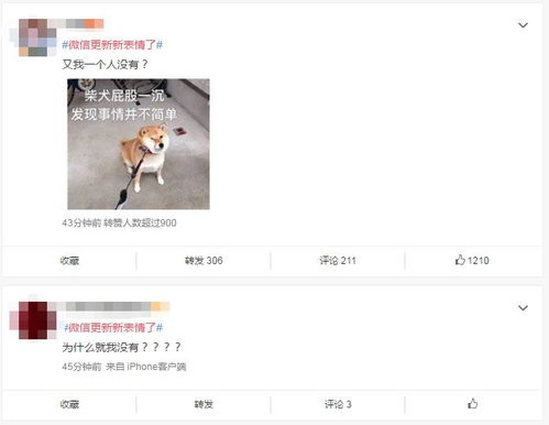 微信出了一波超可爱新表情,好多郁南人用唔到