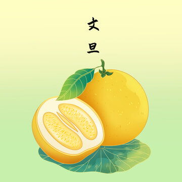 柚子卡通形象