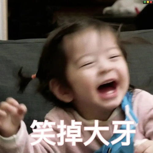 表情包我真没睡