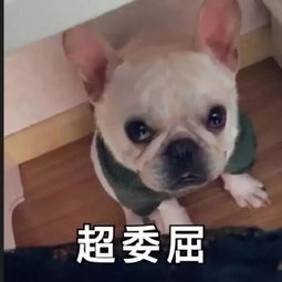 全网狂推的下一个爆款,选对白菜价的经典款就能秒杀它